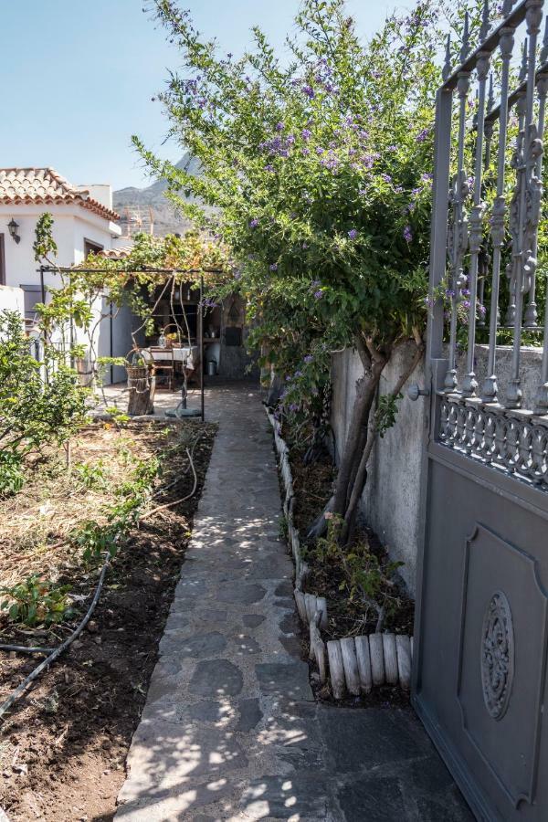 San Borondon Guest House Alojera Ngoại thất bức ảnh